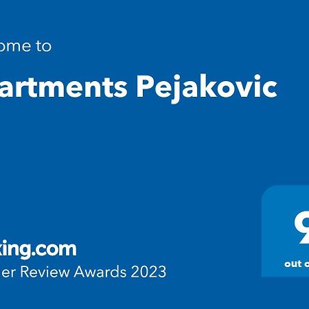 Apartments Pejakovic Vir Bagian luar foto